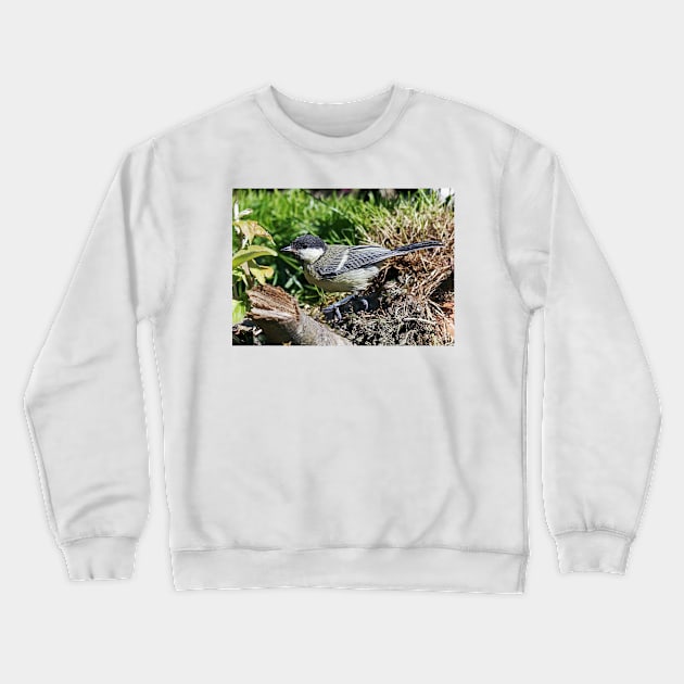 LE PANASONIC FZ 200 PAR OKAIO CRÉATION Crewneck Sweatshirt by caillaudolivier